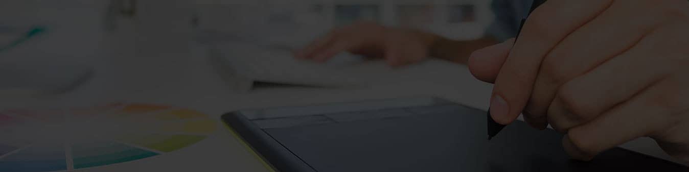 wordpress development